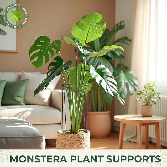 LEOBRO Plant Support, 8 PCS Peony Cages and Supports, Metal Plant Stakes, Plant Supports for Indoor Plants, Outdoor Plants, Monstera Hydrangea Support Cage, 10" W x 24" H