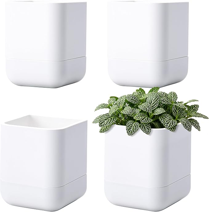 Phoenix Vine 3.5 Inch Wall Mounted Self-Watering Planter Pot for Indoor Houseplants and Herbs | Hanging Planter for Window Sills, Bathroom Walls, Home & Office Décor, White, Set of 4, 01-A-D-4