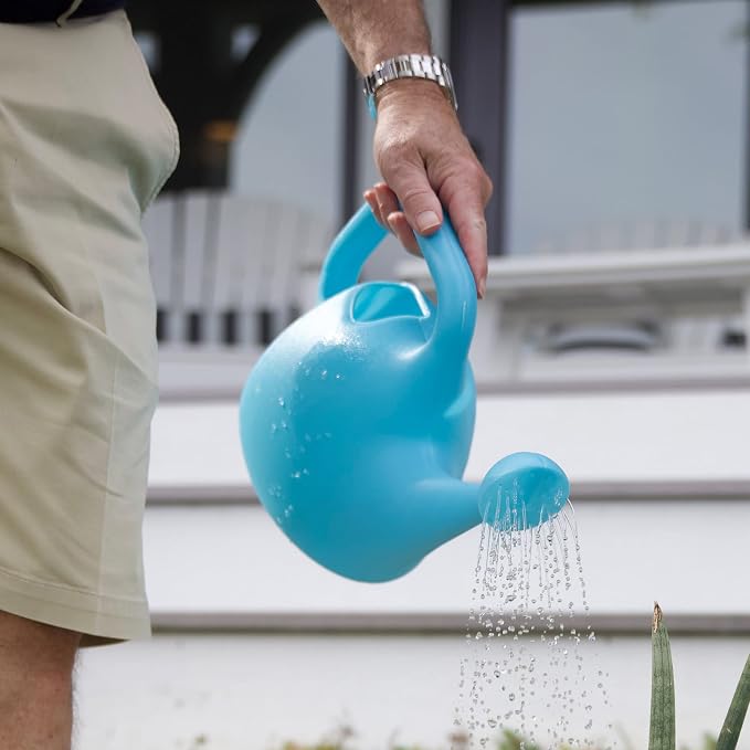 Bloem Translucent Watering Can: 1 Gallon Capacity - Bluebonnet - Easy to See Water Level, Loop Handle, Durable Resin, for Indoor and Outdoor Use, Gardening (Pack of 3)