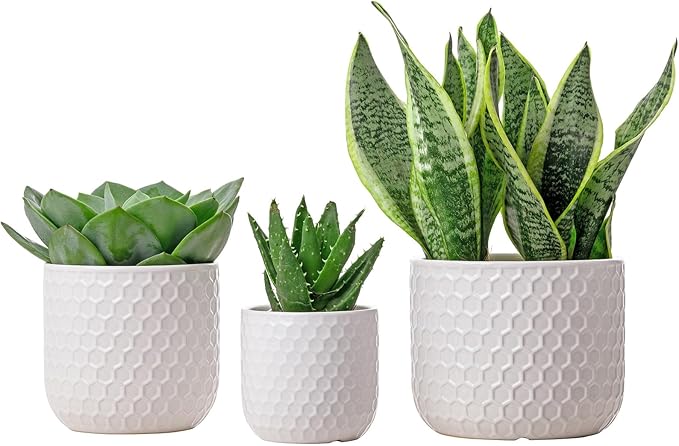 Docrin Plant Pots Indoor with Drainage: 6.4+5.3+4 Inch Ceramic Flower Pots for Plants - Set of 3 Modern Decorative Planters for House/Office/Gift - White Honeycomb