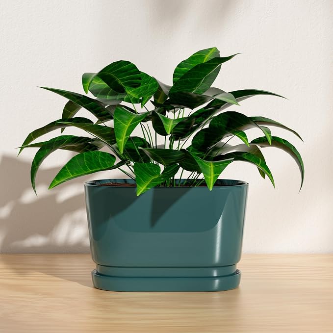 13" Rectangular Ceramic Planter with Drainage and Saucer, Green | Indoor Outdoor Use, 13"L x 5.5"W x 6.3"H, Modern Home Decor, Window Box Planter, Green Glossy Finish