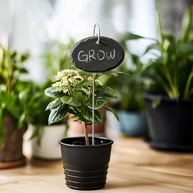15 Pcs Slate Plant Labels with Chalk Pencils Outdoor Garden Marker Label Signs with Stakes for Plants, Vegetables, Herb, Flowers (Oval)