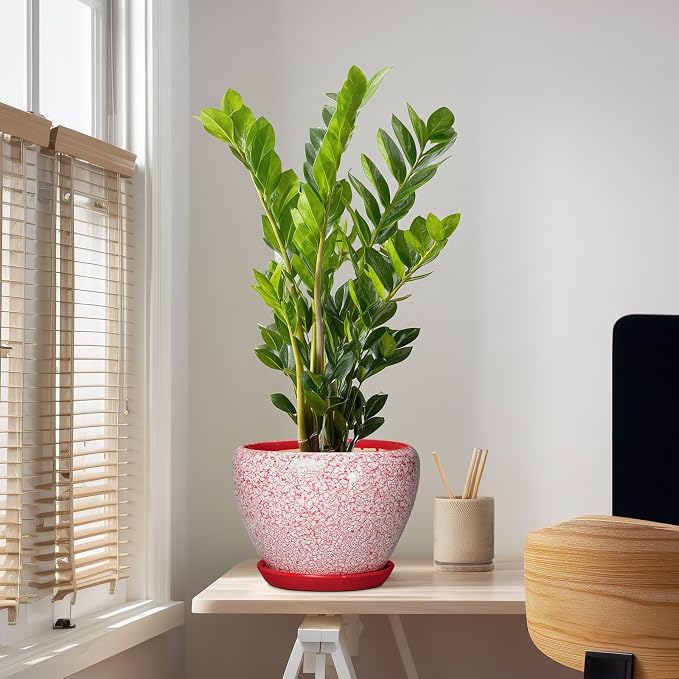10 Inch Pots for Plants - Ceramic Planter Pots for Indoor Outdoor Plants, Decorative Planter with Drainage Hole and Saucer, Modern Flower Pot, House Decor, Plant Lover Gifts, Crackle Red