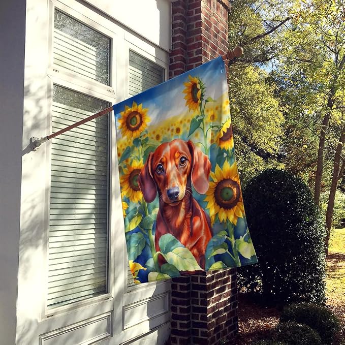 Caroline's Treasures DAC6065CHF Dachshund in Sunflowers House Flag Large Porch Sleeve Pole Decorative Outside Yard Banner Artwork Wall Hanging, Polyester, House Size, Multicolor