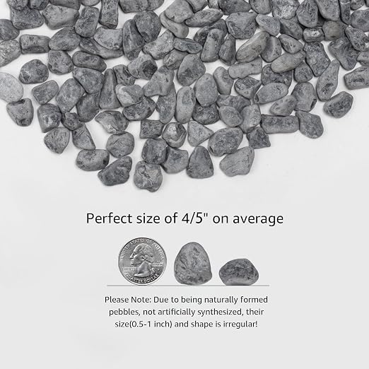 LOIOOJ Black Natural River Rocks, 0.5-1 Inch Decorative Stones for Plants, Garden, and Landscaping – 10LB, Ideal for Walkways, Vases, Crafting, Garden Pathways, and Outdoor Landscaping