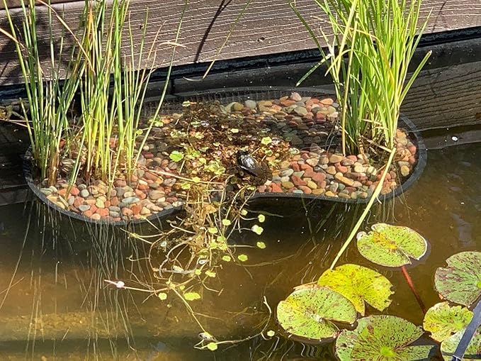 PondH2o Contour Kidney Shaped Plastic Slotted Mesh Aquatic Pond Plant Basket, 17 Inch (44cm), Value Three (3) Pack, Perfect for Lily's, Planting Pot, Baskets for Water Gardens, Aquaponics, Hydroponics