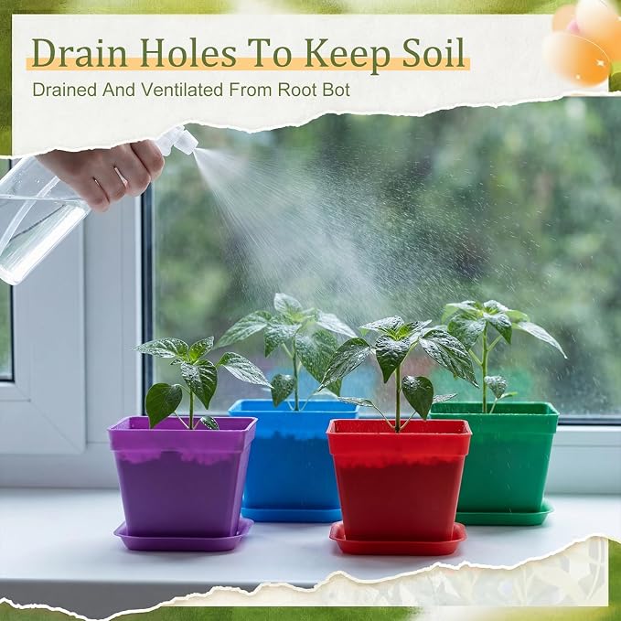 Amyhill 100 Pcs 4 Inch Flower Pots Square Plants Nursery Pot Plastic Plant Seedling Pots Small Nursery Transplanting Planter Container with Saucer for Indoor Succulent Balcony Garden (Colorful)