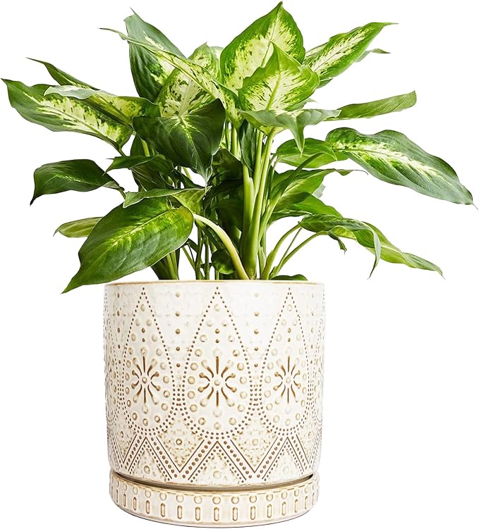 8 Inch Indoor Plant Pot with Drainage Holes and Saucers, Ceramic Planter for Plants, Succulent Orchid Flower Pots