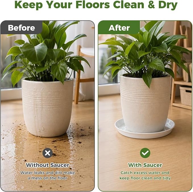 50 Packs 6 Inch Plastic Plant Saucers for Indoor Outdoor, Plant Water Catcher Tray for Pots, Bulk Flower Pot Saucers, Drip Trays for Potted Plants, Round Plates to Catch Water, White