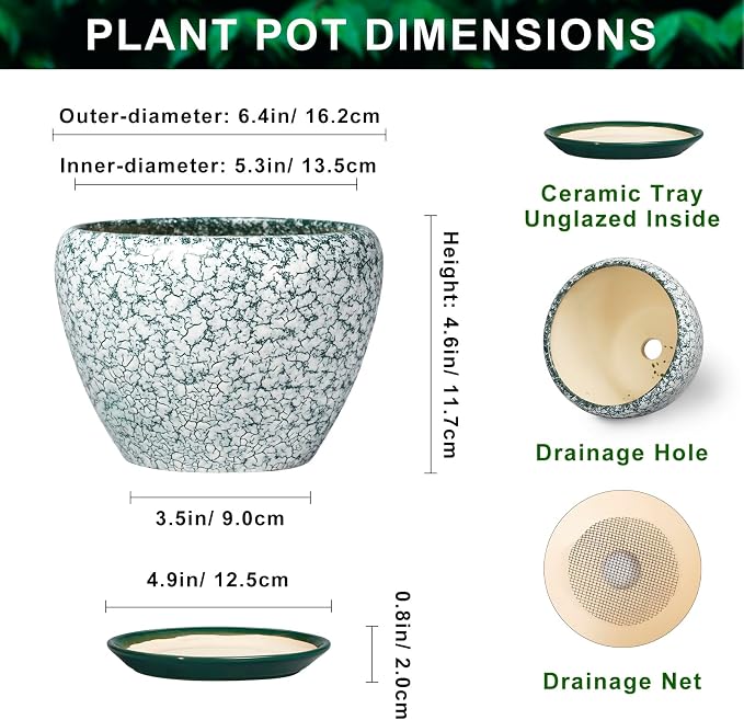 Ceramic Plant Pot, 6 Inch, Crackle Green | Round Succulent Pot, Drainage Hole and Saucer, Modern Decorative, Bathroom Decor, House Warming Gift