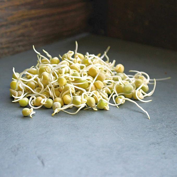 Handy Pantry Green Pea Sprouting Seed 8 Oz for Sprouts, Garden Planting | Cooking, Soup, Emergency Food Storage, Vegetable Gardening