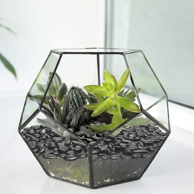 Black Small Decorative Pebbles - 2LB Gravel River Rock,Natural Polished Decorative Stones 3/8" Gravel Size,Pebbles Gravel for Bamboo Plants,Succulent,Home Decor,Landscaping,Vase Fillers and More.