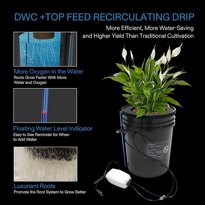 5 Gal Hydroponic Growing System, Indoor Deep Water Culture with Drip Irrigation & Air Pump, 8" Basket Kit for Vegetables, Herbs, Home Garden