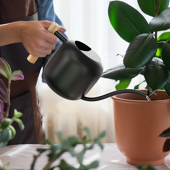 Green Moon 1.2L/41oz Metal Metal Watering Can with Long Spout, Black | Metal Stainless Steel Watering Can for Indoor Plants, House Bonsai, Succulents, and Garden Flowers, Decorative Watering Cans