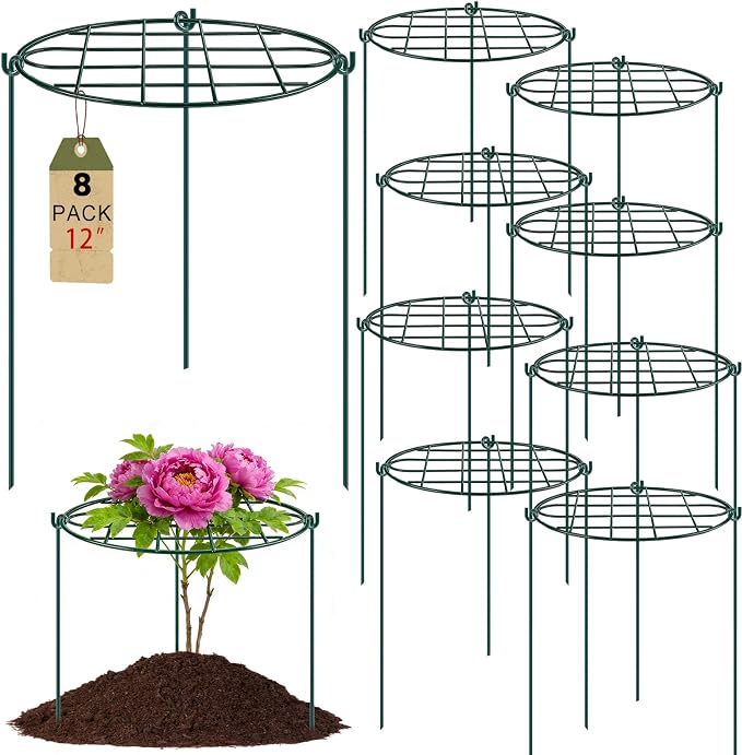 TTQ 8 Pack 12 x 15.7 inch Peony Cages and Supports,Metal Grow Through Plant Supports for Outdoor Plants,Flowers Support Rings Top-Heavy Plant Brace Support Hoop for Vegetables,Rose,Tomato,Orchids