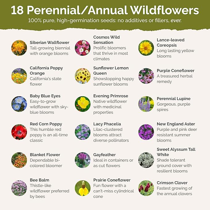 Eden Brothers Wisconsin Wildflower Mixed Seeds for Planting, 1 oz, 30,000+ Seeds with Sunflower, Aster | Attracts Pollinators, Plant in Spring or Fall, Zones
