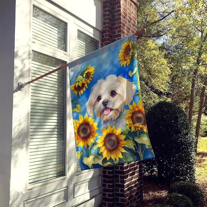Caroline's Treasures DAC6117CHF Maltese in Sunflowers House Flag Large Porch Sleeve Pole Decorative Outside Yard Banner Artwork Wall Hanging, Polyester, House Size, Multicolor