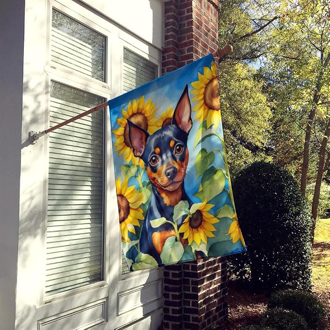 Caroline's Treasures DAC6121CHF Miniature Pinscher in Sunflowers House Flag Large Porch Sleeve Pole Decorative Outside Yard Banner Artwork Wall Hanging, Polyester, House Size, Multicolor
