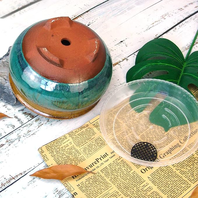 8 Inch Succulent Pot with Drainage and Saucer Glazed Terracotta Round Ceramic Succulent Planter Cactus Bonsai Plant Pot (Brown and Green)