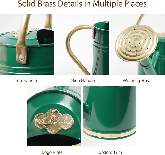1 Gallon Green Metal Watering Can with Solid Brass Details, Removable Watering Rose, Decorative Garden Can for Indoor Plants, Patio and Greenhouse