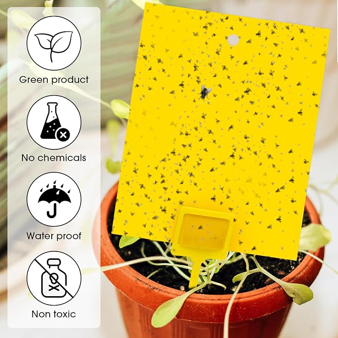 Qualirey 220 Pcs 7.87 x 9.84 Inch Yellow Sticky Traps for Plant Gnats Dual Sided Fruit Fly Sticky Traps for Indoor Outdoor with Twist Ties & Plastic Holders for Insect, Fungus Gnat, Whiteflies, Aphids
