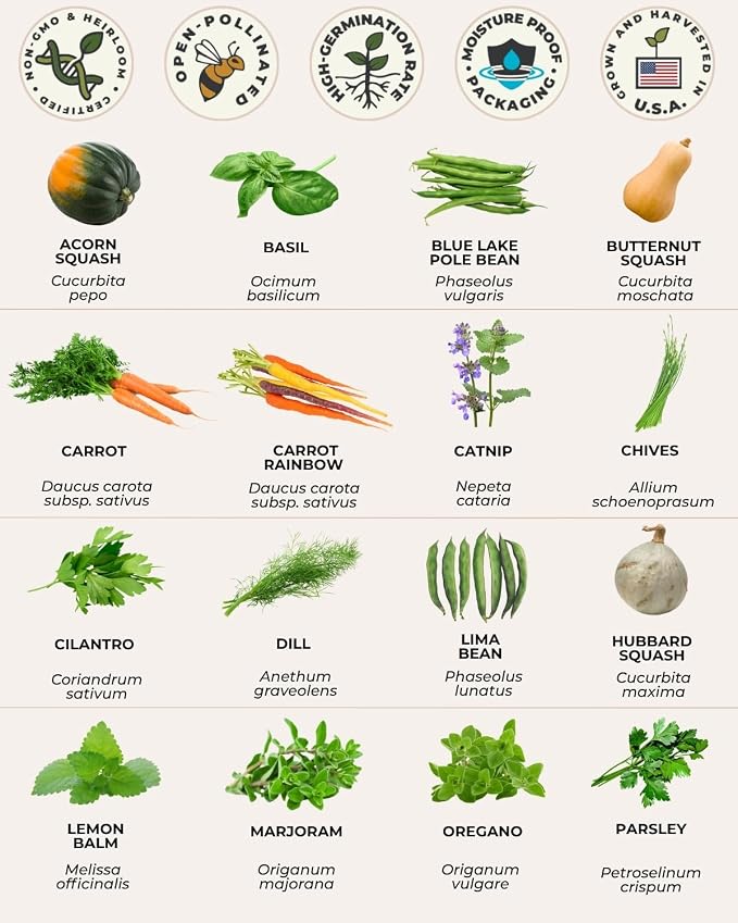 Tactiko Survival 30 Calorie-Dense Veggies & Popular Herbs - Ultimate Energy Seed Kit - USA-Grown Non-GMO Heirloom Seeds - Mylar-Bag for Long-Term Storage, Emergency Food Supply Gardening