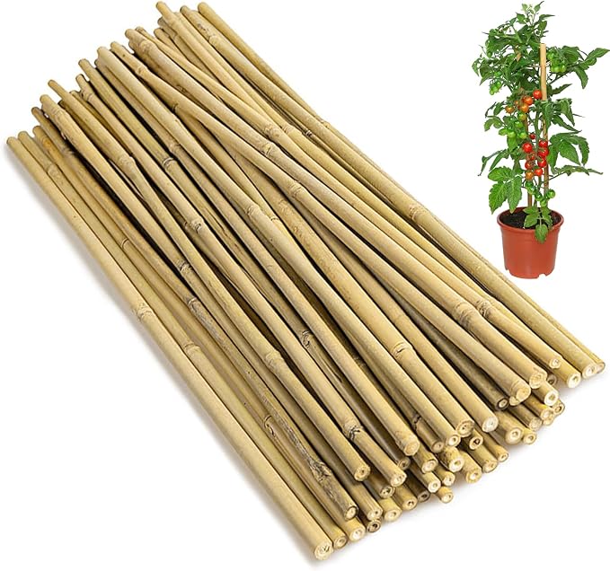 Natural Bamboo Plant Stakes (BS-18in-50PCS)