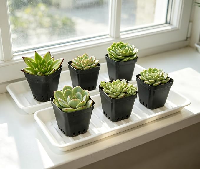2 Pack Plastic Plant Tray Saucer Rectangular 23 24 Inch, Plant Trays Saucers for Indoor Outdoor, Water Drip Tray for Flower Pot Planter, Windowsill, 8 x 23.6 Inches, White