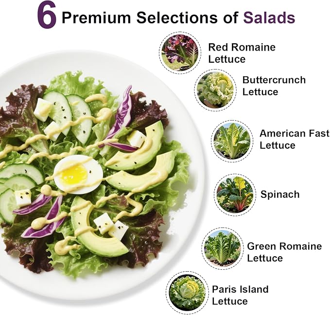 Salad Greens Seed Pod Kit for AeroGarden, iDoo, Ahopegarden, MUFGA with Red/Green Romain/American Fast/Buttercrunch/Parris Island Lettuce, Spinach - Compatible with All Garden(8-Pod)