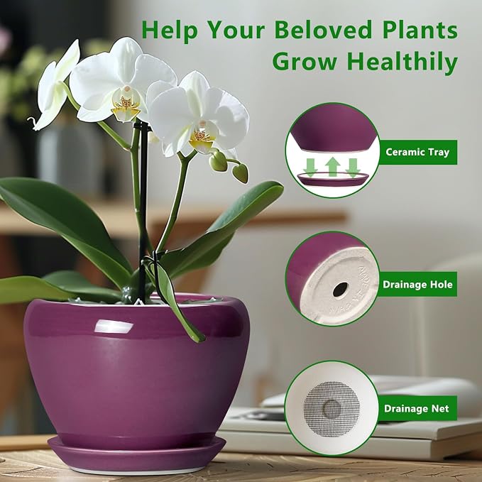 Ceramicfor Ceramic Planter - 8 Inch Plant Pot Indoor with Drainage Hole and Saucer, Glaze Decorative Planter, Round Flower Pot, Plant Lover Gifts, Home Garden Office Decor, Purple