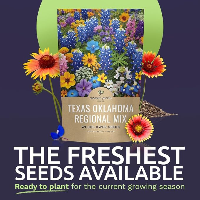 Texas Oklahoma Regional Mix Seeds for Planting - Bulk 1 Pound Bag - Over 240,000 Native Seeds - Open Pollinated and Non GMO