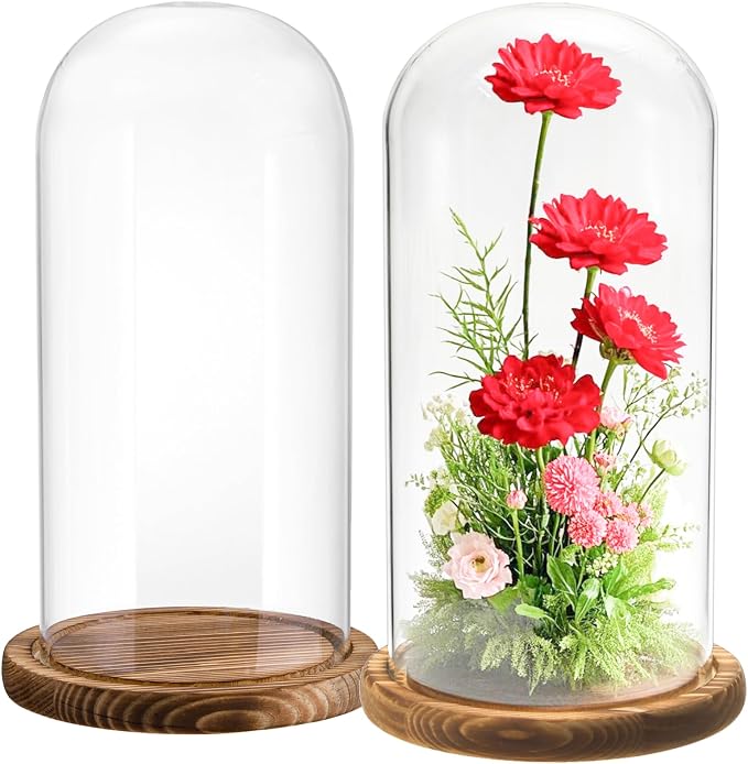 2 Pack Glass Cloche Display Dome, 10 Inch Large Decorative Glass Bell Jar, Clear Dome Showcase with Dark Brown Wooden Base, for Plants, Medals, Photos, Antique Collectibles, Mother's Day