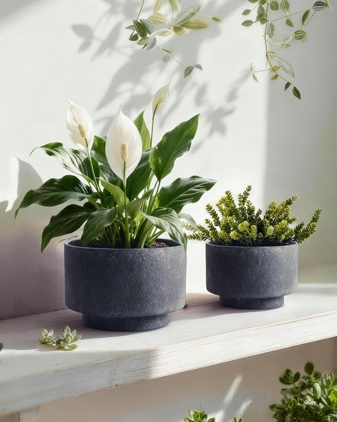 Succulent Pots, 8 Inch + 6 Inch Plant Pots for Plants with Drainage Hole, Indoor Outdoor Ceramic Planter, Set of 2 Round Flower Pots for Succulent and Plants, Black