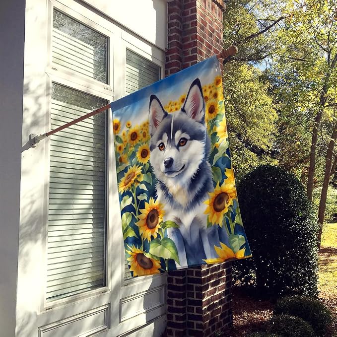 Caroline's Treasures DAC6004CHF Alaskan Klee Kai in Sunflowers House Flag Large Porch Sleeve Pole Decorative Outside Yard Banner Artwork Wall Hanging, Polyester, House Size, Multicolor