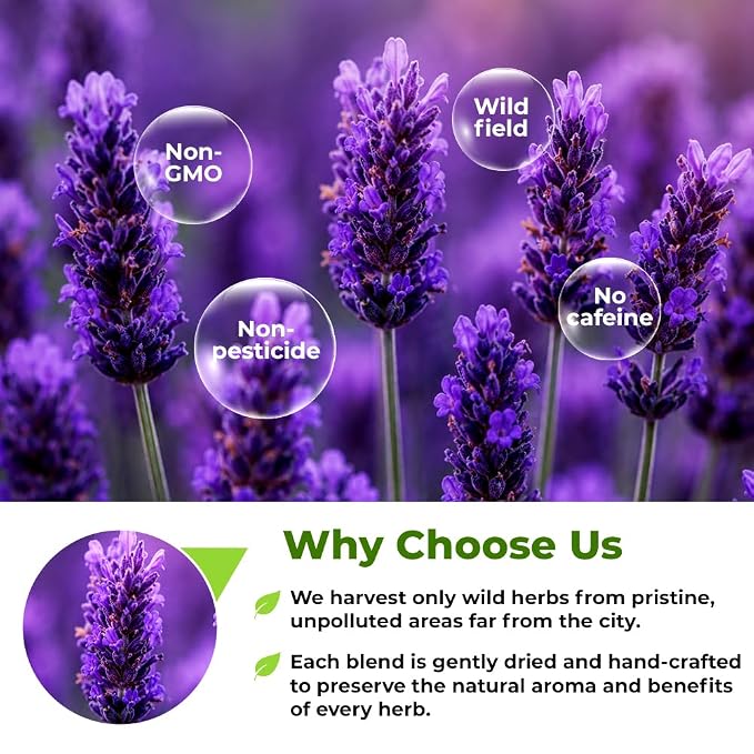 40 Bags Lavender Herb Lavender Buds Herbal Tea (Lavandula Angustifolia) - 40 Count 1.5g Bags Flowers Dried Tea Flores De Lavanda