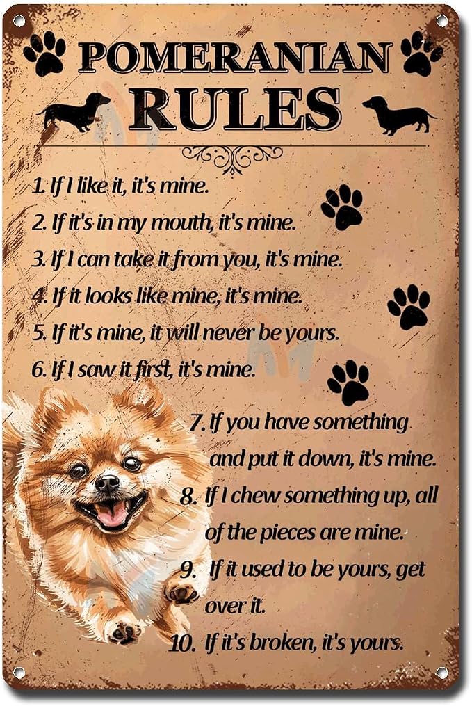 Metal Sign Tin Sign Vintage Wall Art Pomeranian Rules Metal Sign for Pub 12×16 Inches