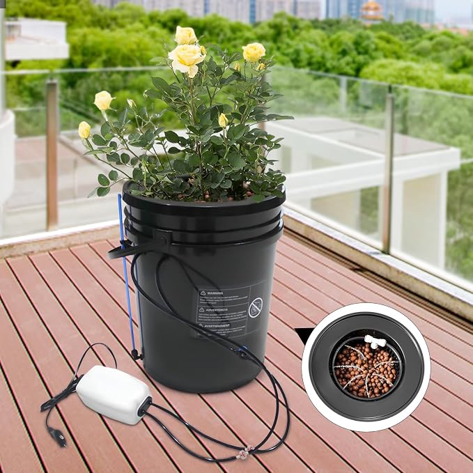 5 Gal Hydroponic Growing System, Indoor Deep Water Culture with Drip Irrigation & Air Pump, 8" Basket Kit for Vegetables, Herbs, Home Garden