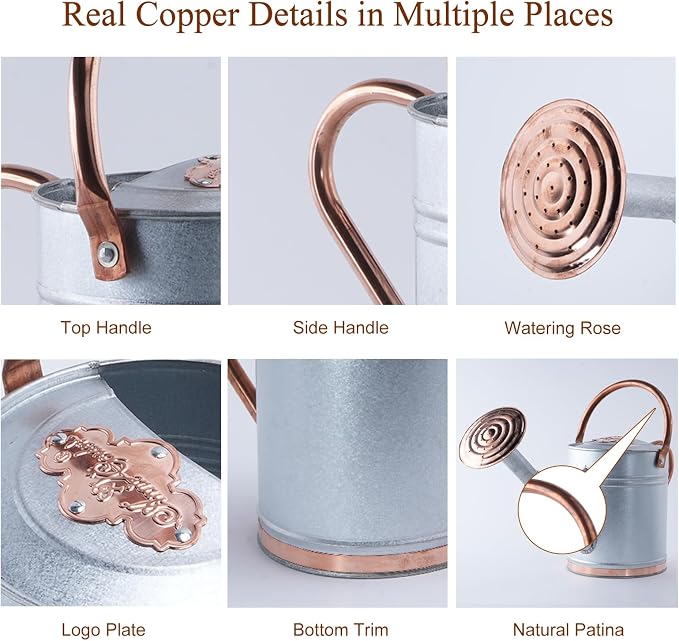 1 Gallon Metal Watering Can with Real Copper Details, Fine-Grid Galvalume Body, Removable Watering Rose for Indoor Plants, Patio and Greenhouse