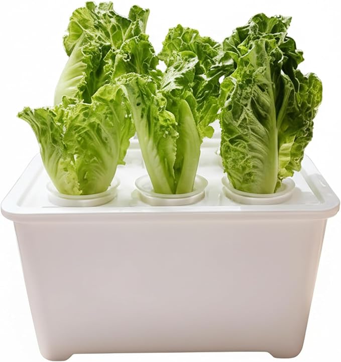 Hydroponics Growing System Kit, 6 Pods Indoor Herb Garden with Pump, Germination System for Vegetables, Lettuce, Basil Growing Plant Propagation (White)