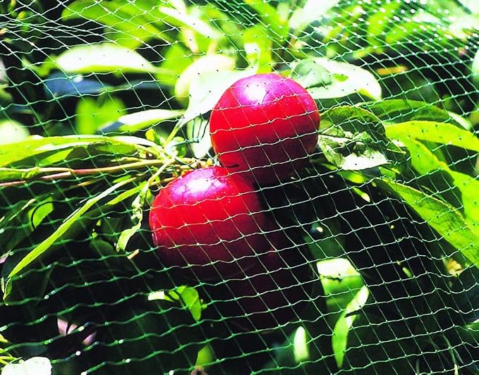TENAX Ornex SM Bird Netting 13' x 820' Green