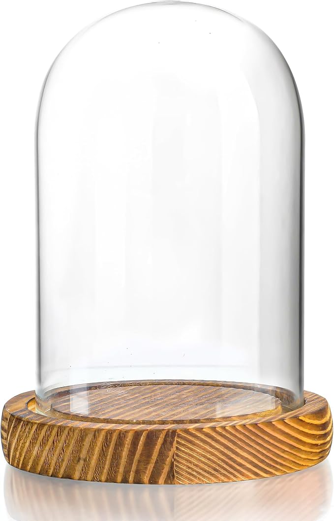 ZEERSHEE Small Cloche Glass Dome with Wooden Base, Glass Display Dome Bell Jar for Plants, Keepsakes, Collectibles and Home Decor, Mini Cloche for Fairy Lights & Preserved Flowers, 5.1" H x 3.9" W