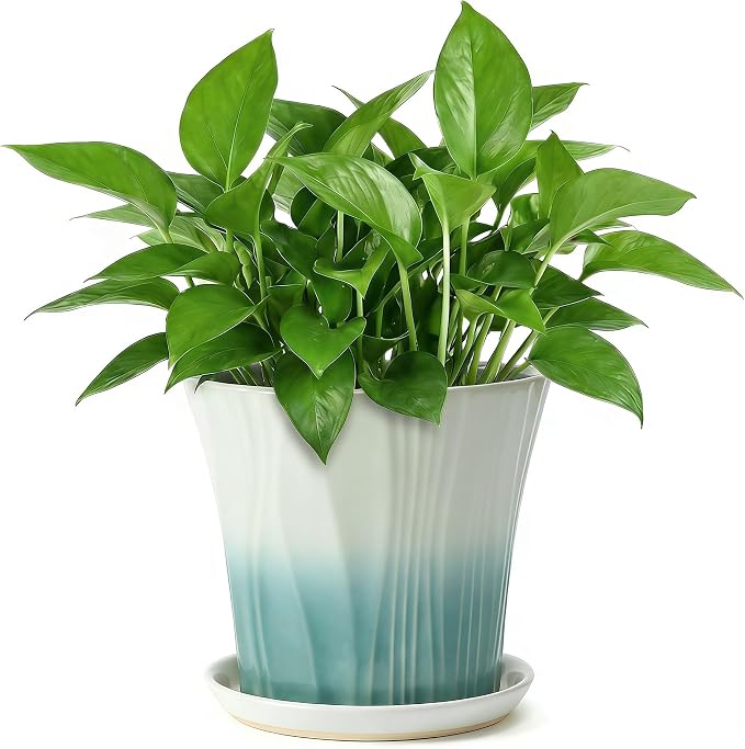 8.3 Inch Ceramic pots for Plants with Saucer Drainage Leak-Proof Mesh, Round Plant Pot with Gardening Gloves for Indoor Outdoor Plants (Rippled Green)