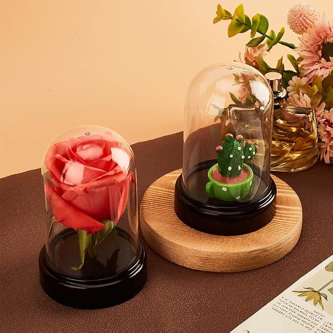 NBEADS 6 Sets Plastic Dome Cover, 2.77×4.2" in Diameter Plastic Display Dome Cloche Dome Mini Clear Display Dome with Plastic Base for Centerpieces Plants Rocks Specimens Decorations Crafts