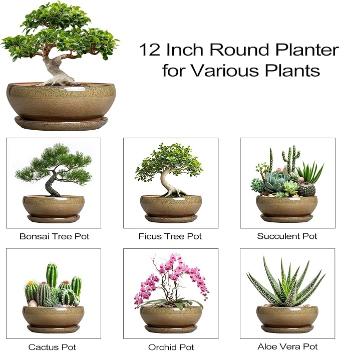SQOWL Ceramic Bonsai Pots - 12 Inch Succulent Pots with Drainage Hole and Saucer, Large Succulent Planters, Shallow Planter Indoor Outdoor, Round Planter Bowl, Home Decor, Gift for Plant Lover, Brown