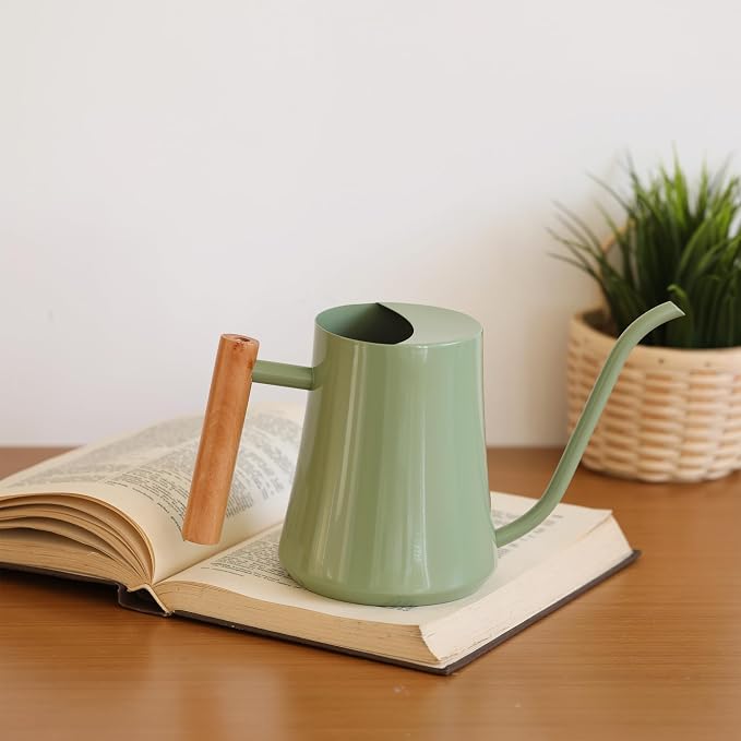 Green Moon 1L/35oz Metal Watering Can Indoor with Long Spout, Sage Green | Metal Stainless Steel Watering Can with Wood Handle for Indoor Plants, House Bonsai, Succulents, and Outdoor Garden Flowers