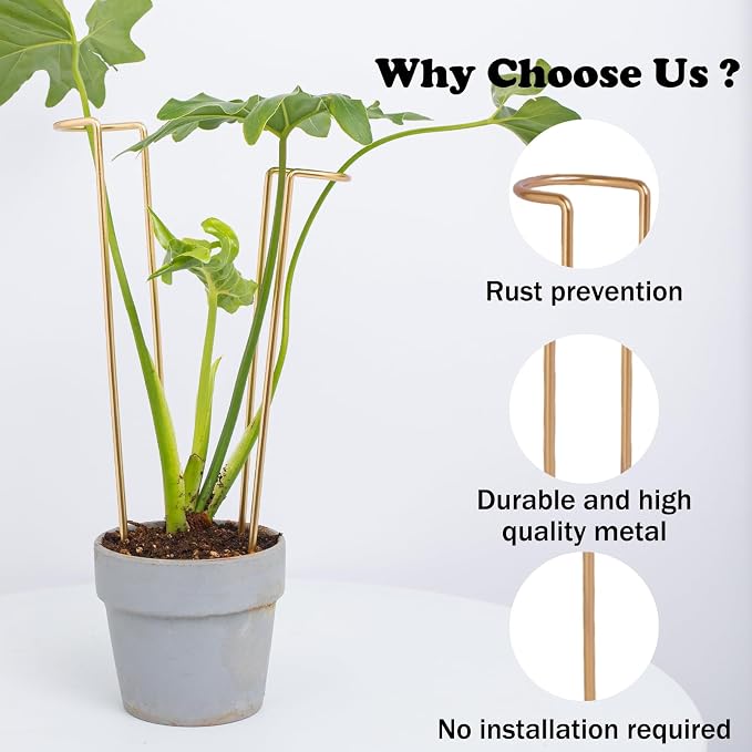 12-Inch Monstera Support - 10 Pack Medium Plant Support for Indoor and Outdoor Plants, Durable Stem Holder Trellis for Monstera and Spring Plant Stakes, Ideal for Home, Balcony, and Terrace