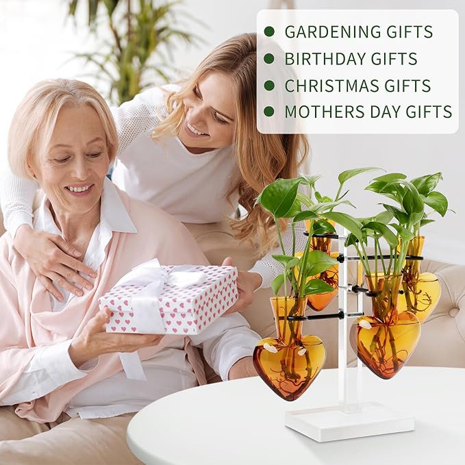 Plants Propagation Stations Plant Terrarium Kit Gift for Women | Birthday Glass Planters For Indoor Plants Home Office Decor Acrylic Plant Accessories - 4 Love Hear Vase
