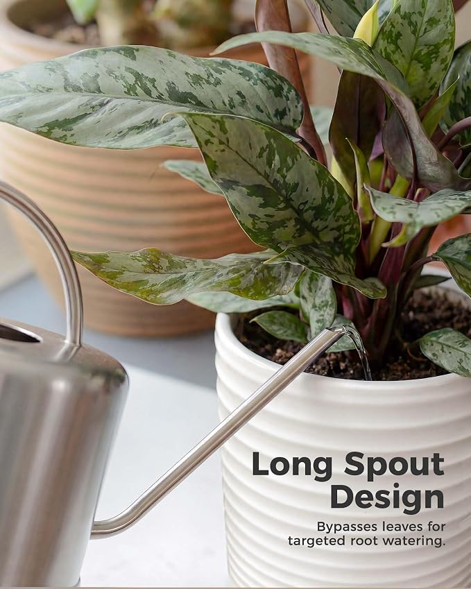 Bamworld Metal Watering Can for Indoor Outdoor Plant 1L/35oz Silver Stainless Steel Watering Can with Long Spout for House Potted Plants Succulents Bonsai Garden Flowers