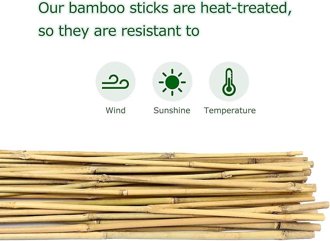 Cambaverd Bamboo Stakes for Plants, Natural Bamboo Plants Stakes 5 Feet, Garden Stakes for Climbing Plants Tomatoes, Beans, Potted Plants - 20Pcs Bamboo Poles (58in, Approx 5FT)