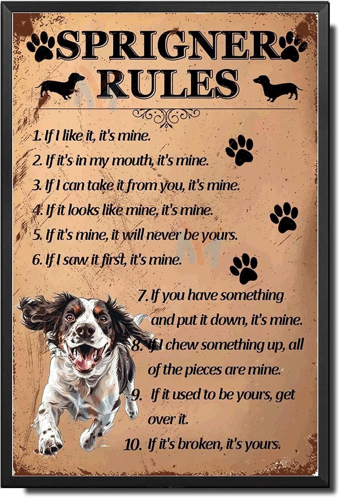 Metal Sign Tin Sign Vintage Wall Art Springer Rules Vintage Metal Sign for Restaurant 6×8 Inches with Metal Frame